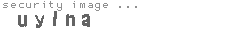 security image
