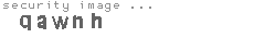 security image