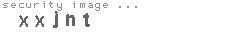security image