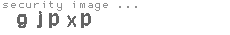 security image