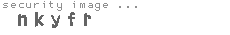 security image
