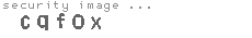 security image