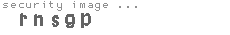 security image