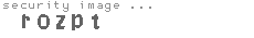security image