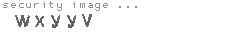 security image
