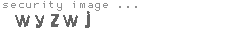 security image