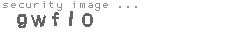 security image