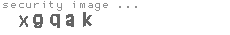 security image