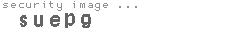 security image