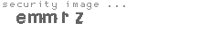 security image