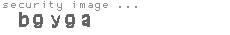 security image