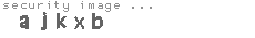 security image