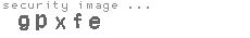 security image
