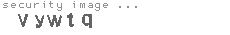 security image