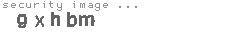 security image
