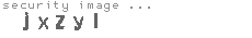 security image