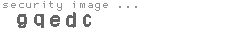 security image