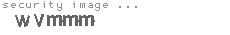 security image