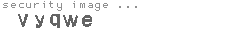 security image