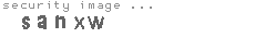 security image