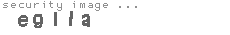 security image