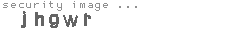 security image