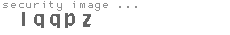 security image