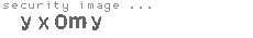 security image