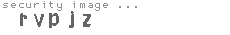 security image