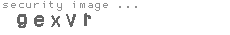 security image