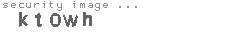 security image