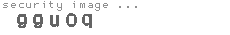 security image
