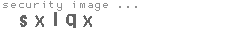 security image