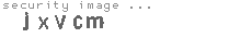 security image