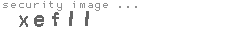 security image