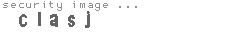 security image
