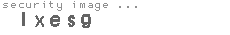 security image