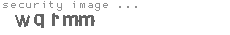 security image