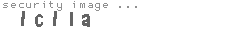 security image