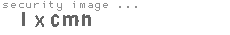 security image