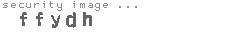 security image
