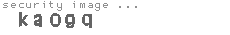 security image