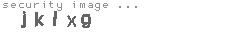security image