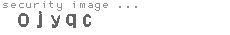 security image