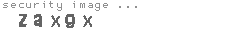 security image