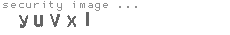 security image