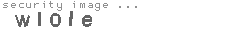 security image