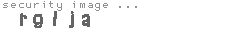 security image