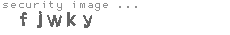 security image