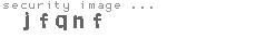 security image